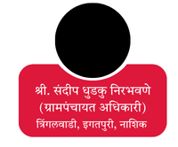 your paragraph text (54)